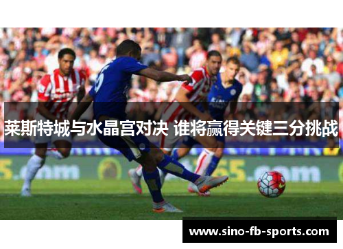 莱斯特城与水晶宫对决 谁将赢得关键三分挑战