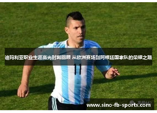 迪玛利亚职业生涯高光时刻回顾 从欧洲赛场到阿根廷国家队的荣耀之路