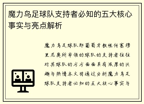 魔力鸟足球队支持者必知的五大核心事实与亮点解析